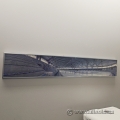 Ultrawide Olympic Oval Speed Skating Framed Art Print